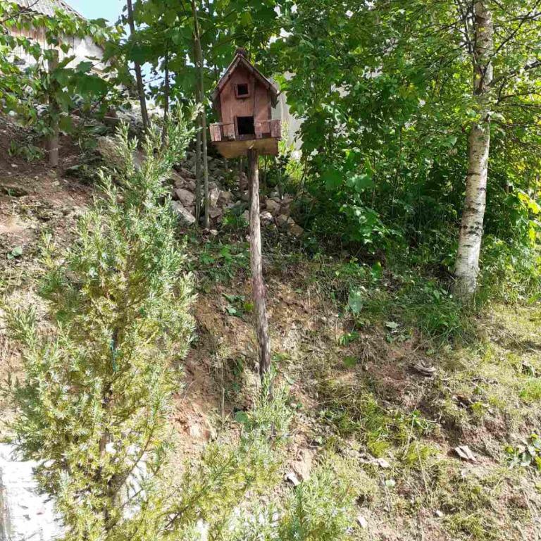 Holiday Home JASEN - Vila - 37