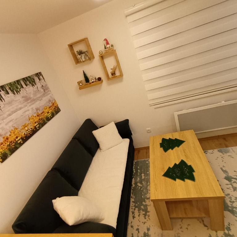 Acero Verde Jahorina - Studio - 22