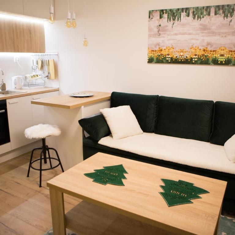Acero Verde Jahorina - Studio - 23