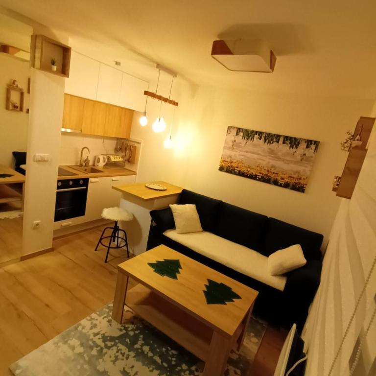 Acero Verde Jahorina - Studio - 17