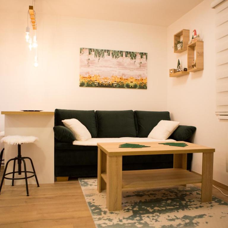 Acero Verde Jahorina - Studio - 27