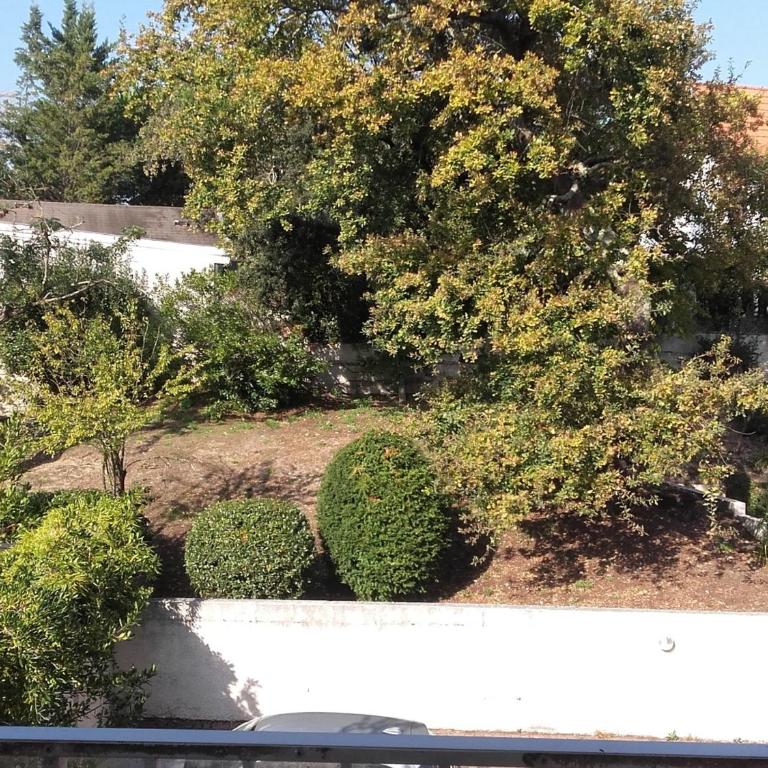Appartement T2 à Arcachon - Centre-Ville, Proche Plage et Commerces, avec Parking et Balcon - FR-1-319-12 - Appartement (2 Adultes) - 2