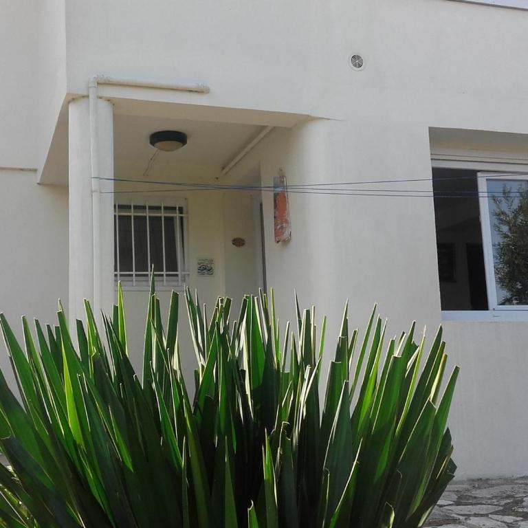 Appartement T2 avec Terrasse et BBQ, Proche Centre Arcachon et Plages - FR-1-319-85 - Appartement (4 Adultes) - 2
