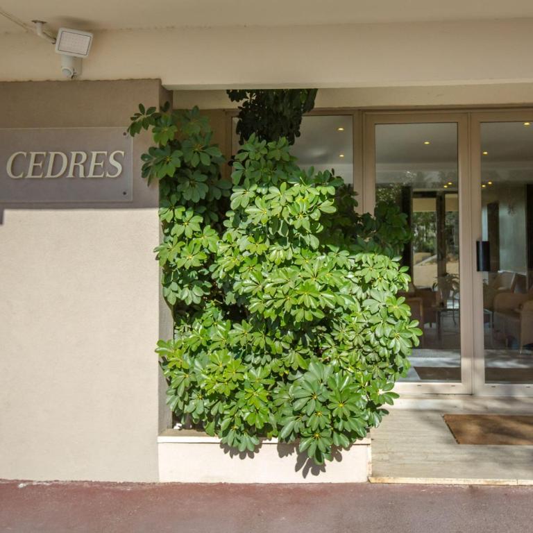 Studio climatisé proche plage, commerces et gare avec balcon, parking et wifi - FR-1-466A-5 - Estudio - 7