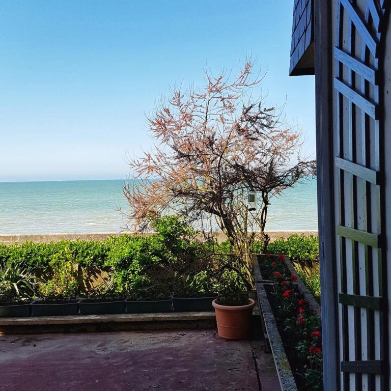 Cabourg : Appartement moderne 4/5 pièces, accès plage, 8 pers, jardin et terrasse, parking, WIFI - FR-1-487-304 - Apartment (8 Adults) - 4