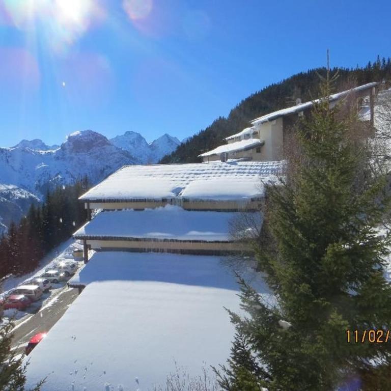 Studio cabine 4 pers, 300m des pistes, balcon, parking, animaux ok - Auris en Oisans - FR-1-297-25 - Apartamento (4 adultos) - 10
