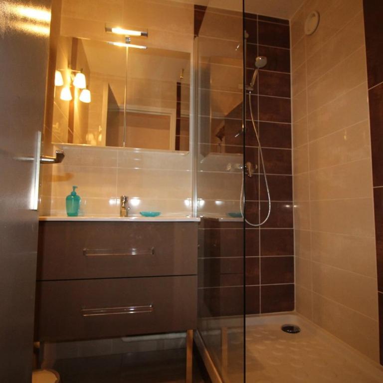 Studio cabine 4 pers au pied des pistes avec parking gratuit - Auris en Oisans - FR-1-297-151 - Apartamento (4 adultos) - 9