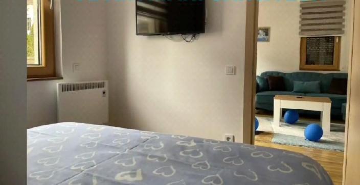Apartman JOCA & PAVLE - Apartman sa 1 Spavaćom Sobom - 6