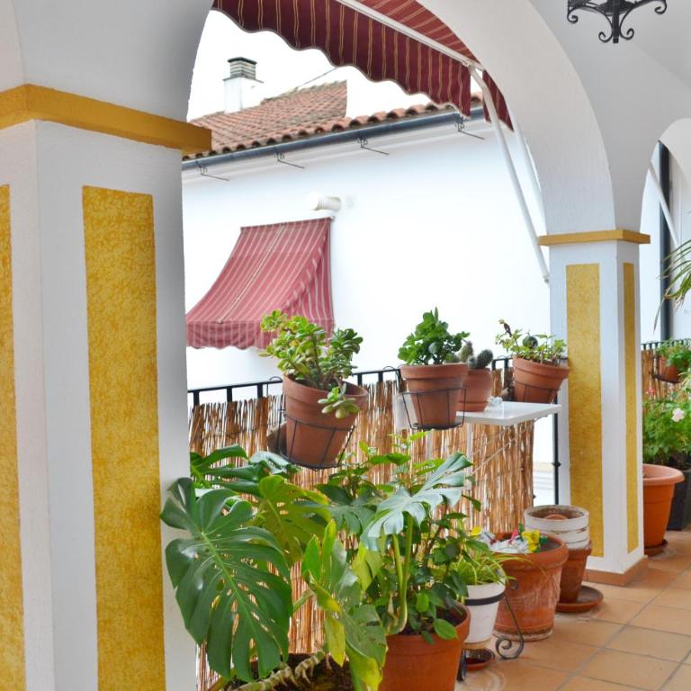 SunShine Almanzor - Apartamento de 2 dormitorios - 16
