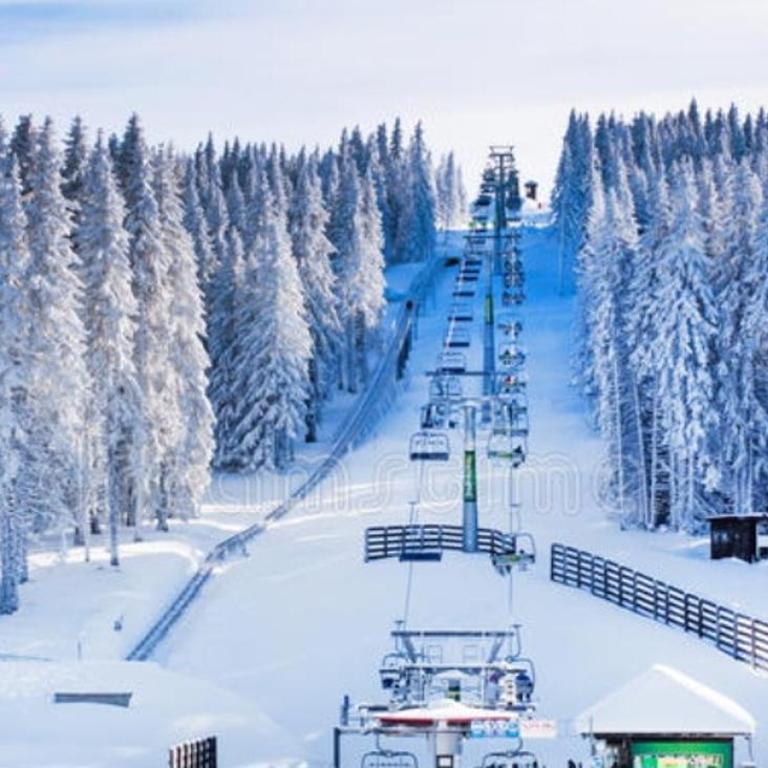 Milmari S70 Kopaonik - One-Bedroom Apartment - 67