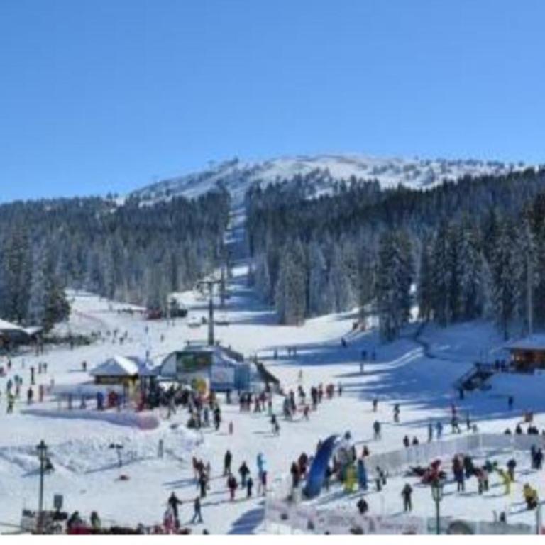 Milmari S70 Kopaonik - One-Bedroom Apartment - 85