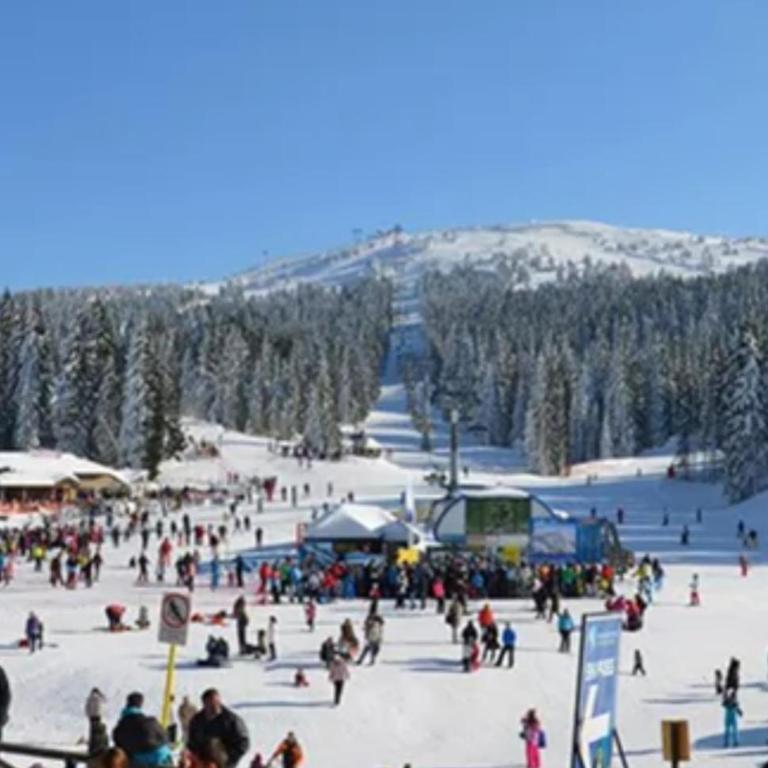 Milmari S70 Kopaonik - One-Bedroom Apartment - 81
