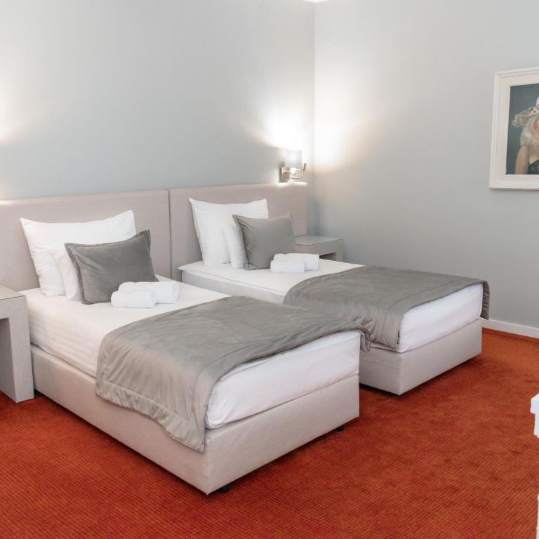 Zepter Spa Wellness Hotel & Zepterme member of Zepter Hotels - Deluks Dvokrevetna Soba sa Bračnim Krevetom/Zasebnim Krevetima i Besplatnim Korišćenjem Spa Usluga - 8