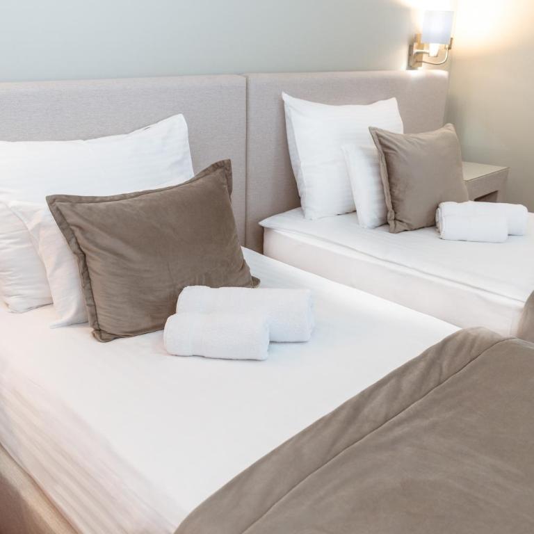 Zepter Spa Wellness Hotel & Zepterme member of Zepter Hotels - Deluks Dvokrevetna Soba sa Bračnim Krevetom/Zasebnim Krevetima i Besplatnim Korišćenjem Spa Usluga - 9