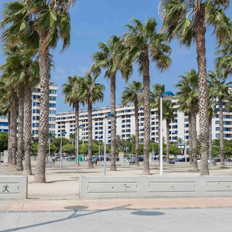 ApartUP Patacona Oriental - Apartamento de 2 dormitorios - 32
