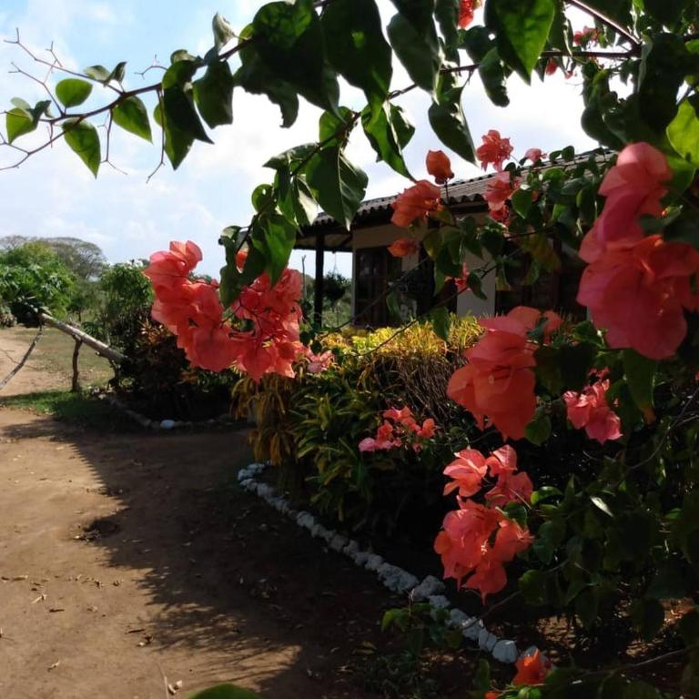 Cabaa De Descanso, Isla De Bar - Cartagena - Rest Cabin, Baru Island -Bolivar - Vacation Home - 14