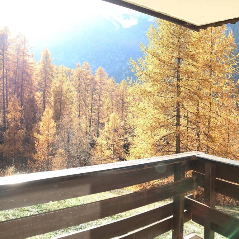Appartement rénové pour 6 pers., balcon exposé sud, pieds des pistes, proche centre station et calme. - FR-1-322-146 - Apartment (6 Erwachsene) - 10