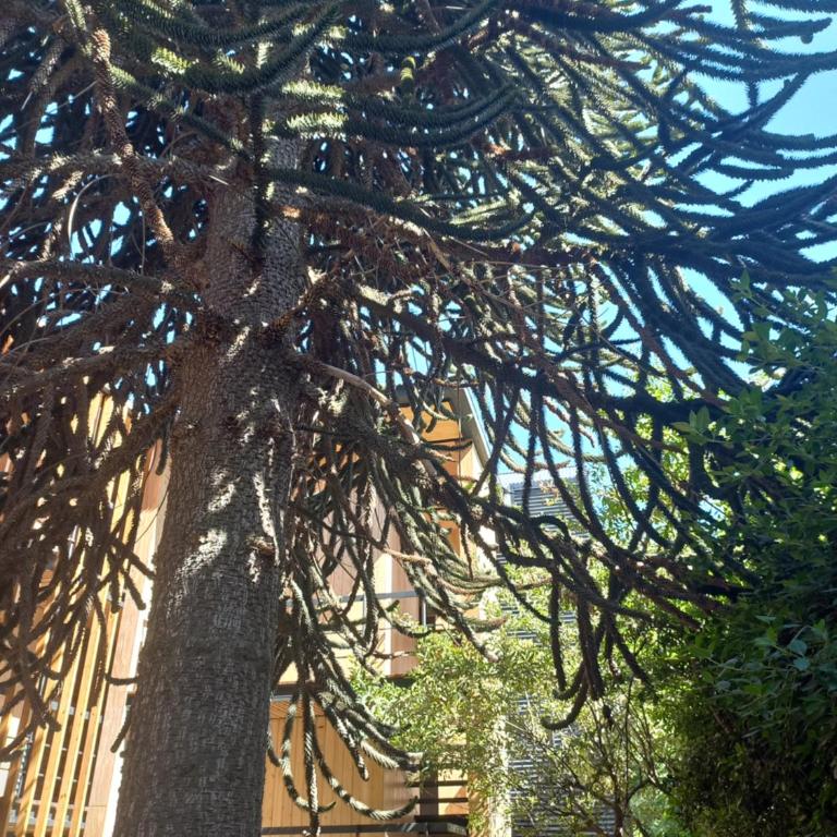 Apartamento 16 - Vivero 5 - Apartamento de 1 dormitorio - 15