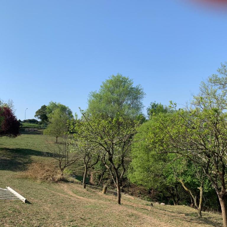 Villa Isidoro ampio parco, piscina privata, arte e giochi , natura e fitness - Villa Deluxe - 72
