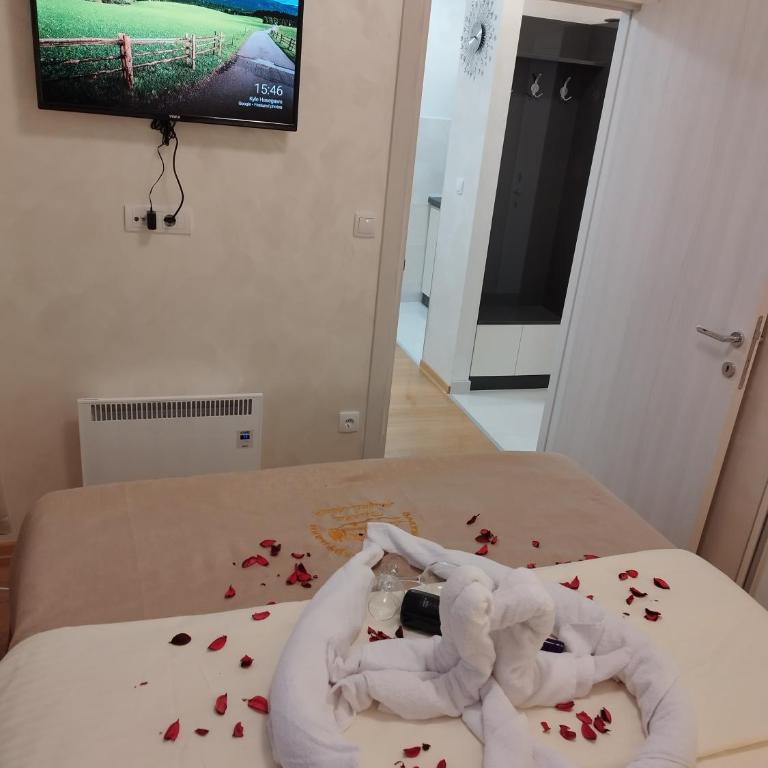 Zlatiborski apartmani Braća Mijailović - Deluks Apartman - 11