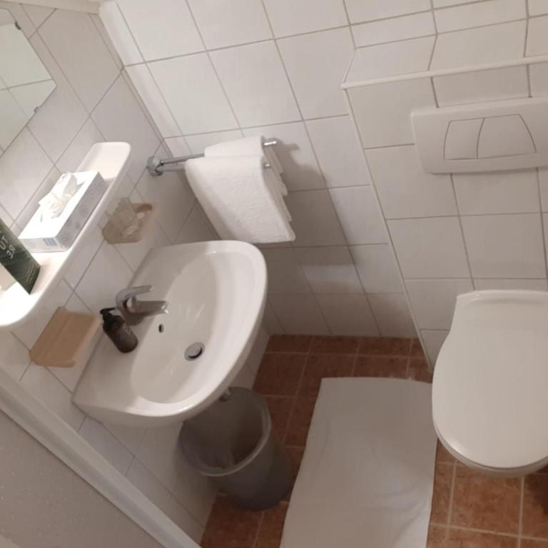 Hotel Altneudörflerhof - Einzelzimmer mit Balkon - 5