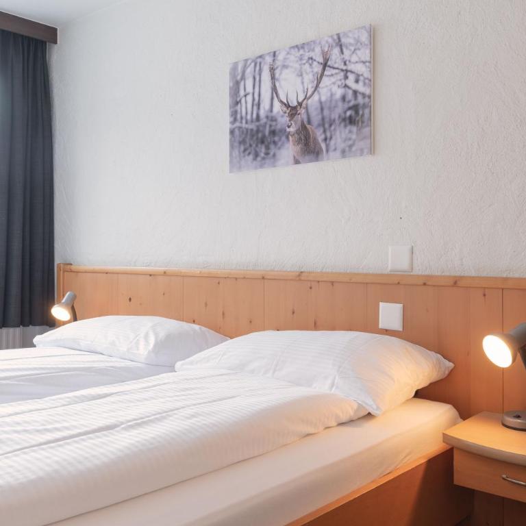 Jungfrau Lodge, Annex Crystal - Habitación Doble con vistas al Eiger - 4