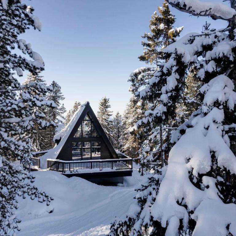LUXE VISTA Mountain Chalet Cermis - mitten auf der Alm und Skipiste - Casa con 3 Camere da Letto - 39