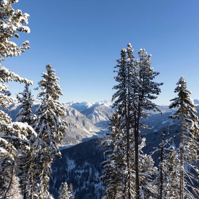 LUXE VISTA Mountain Chalet Cermis - mitten auf der Alm und Skipiste - Casa con 3 Camere da Letto - 46