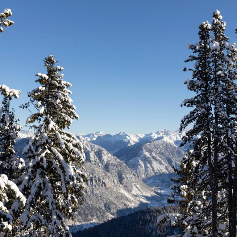 LUXE VISTA Mountain Chalet Cermis - mitten auf der Alm und Skipiste - Casa con 3 Camere da Letto - 45
