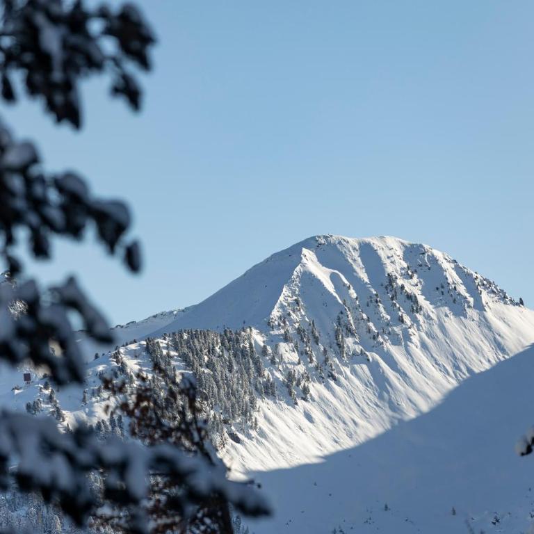 LUXE VISTA Mountain Chalet Cermis - mitten auf der Alm und Skipiste - Casa con 3 Camere da Letto - 48