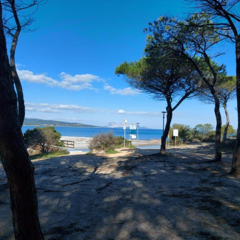 VILLA A 200 METRI DALLA SPIAGGIA - Casa Vacanze - 61