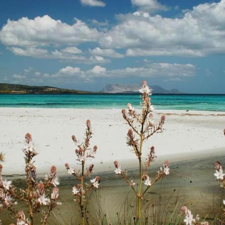 VILLA A 200 METRI DALLA SPIAGGIA - Casa Vacanze - 62