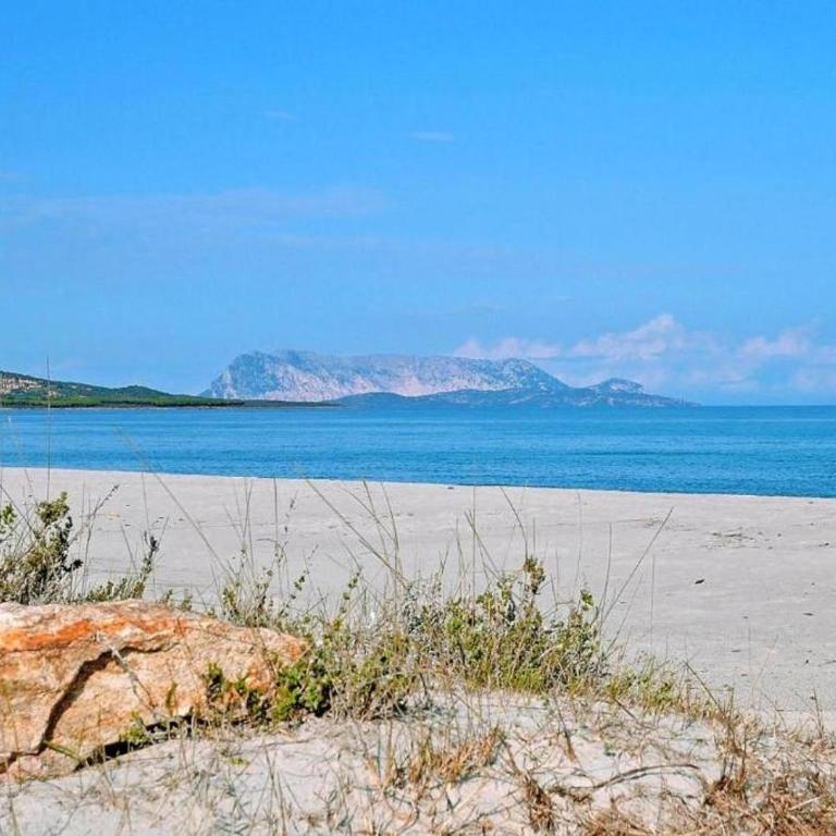 VILLA A 200 METRI DALLA SPIAGGIA - Casa Vacanze - 63