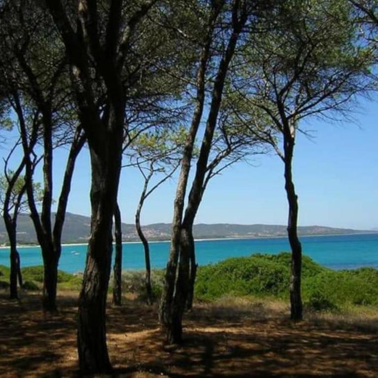 VILLA A 200 METRI DALLA SPIAGGIA - Casa Vacanze - 60