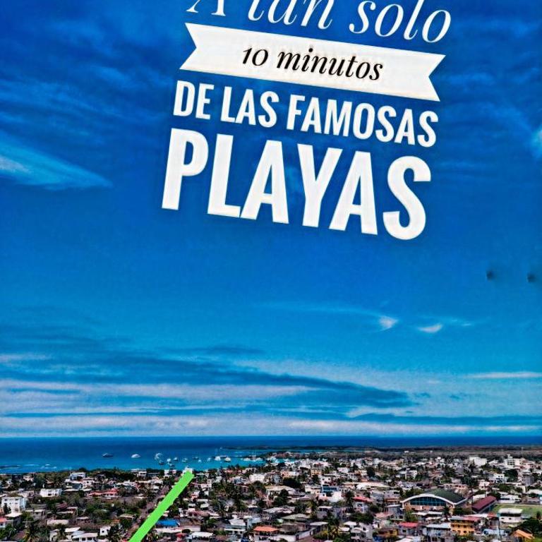 Suite Familiar en Puerto Ayora - Suite Familiar - 30