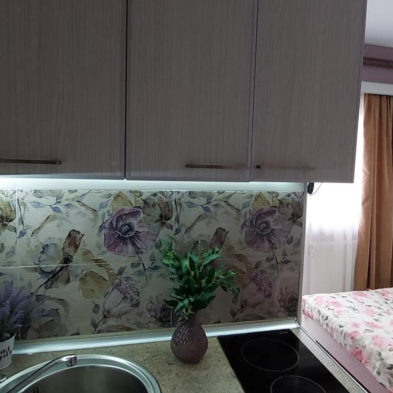 KOSA APARTMAN - Apartman sa 1 Spavaćom Sobom - 10
