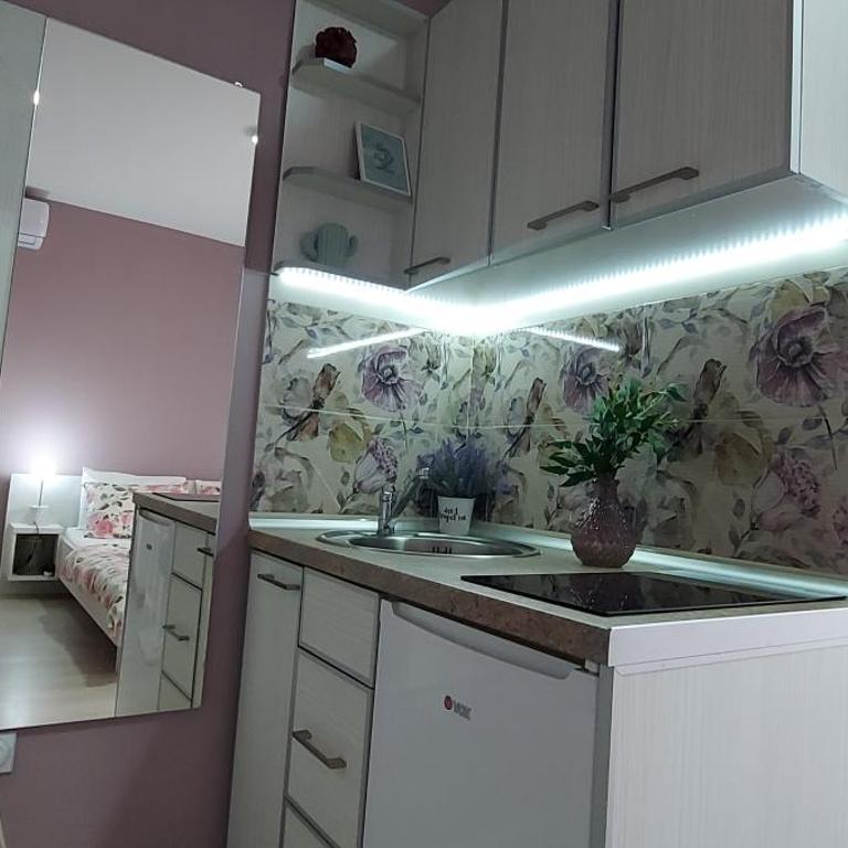 KOSA APARTMAN - Apartman sa 1 Spavaćom Sobom - 9