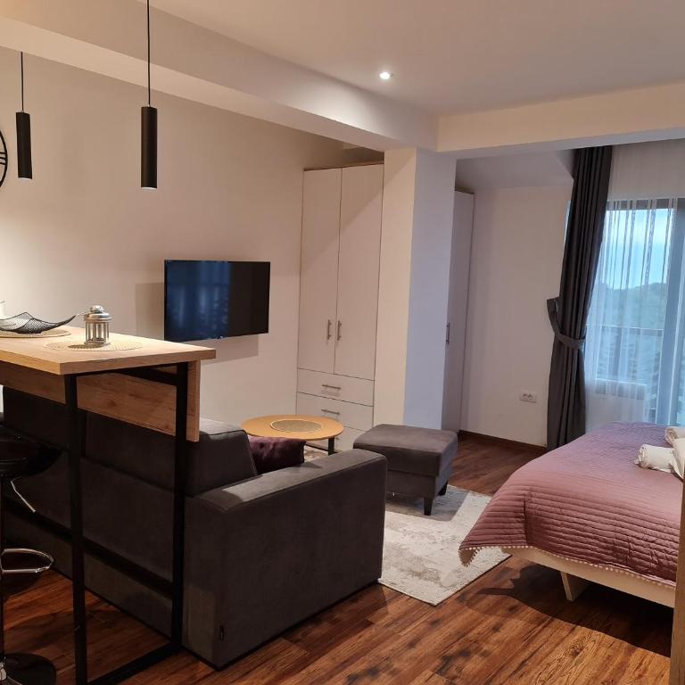 SkyKop Apartmani - Apartman sa 1 Spavaćom Sobom - 6