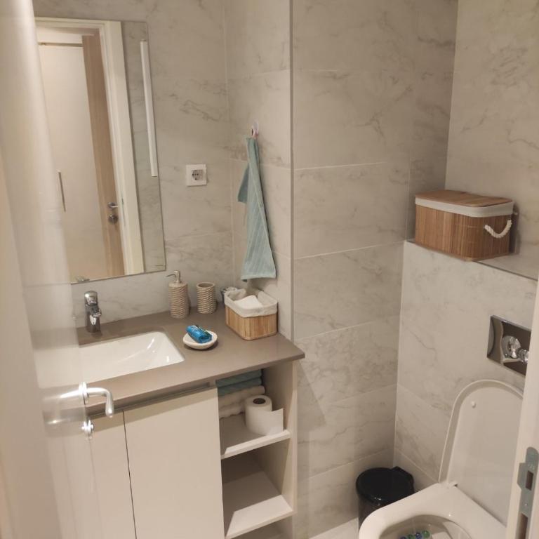 Belgrade Waterfront Comfortable Apartment - Studio sa Bračnim Krevetom (King-size) - 16