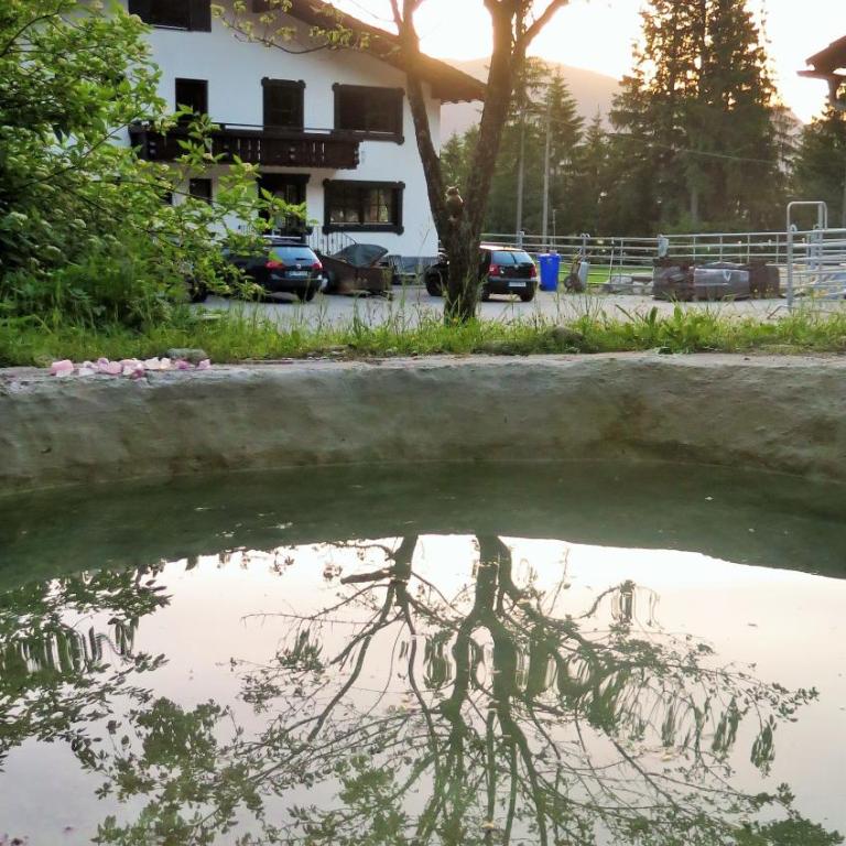 Dreimäderlhaus am Berg - Ferienhaus - 11