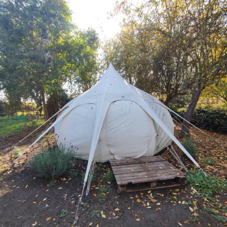 Glamping Remanso del Espíritu - Tienda - 25
