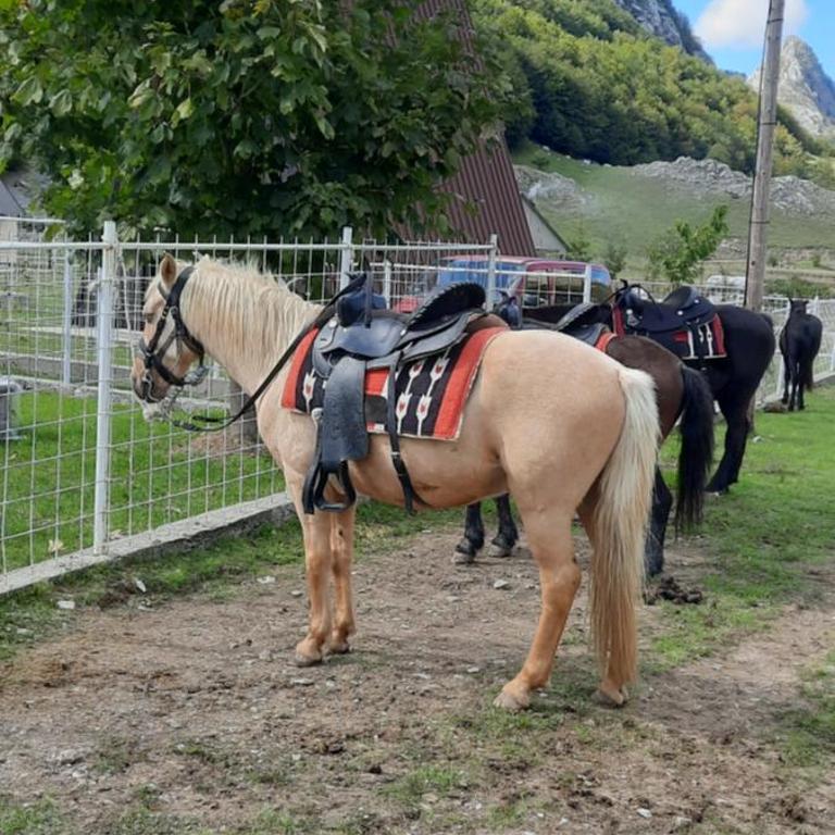 Katun Mokra accommodation & horseback riding - Two-Bedroom Chalet - 43