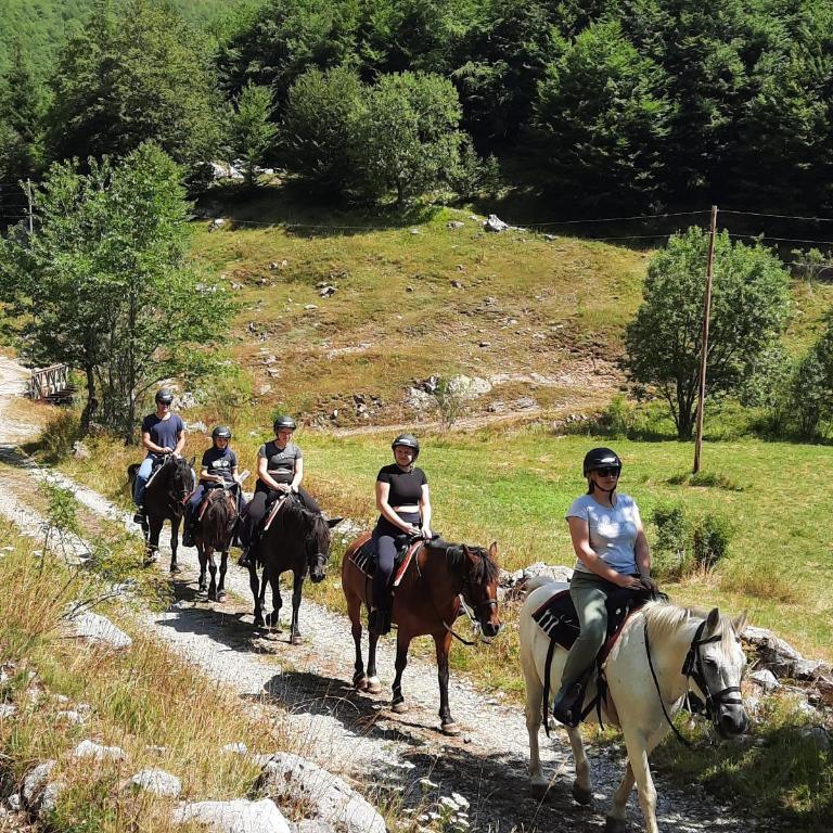 Katun Mokra accommodation & horseback riding - Two-Bedroom Chalet - 40