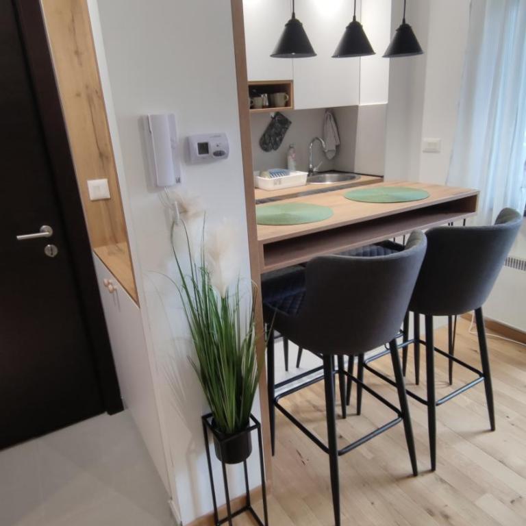 Gold Pine Titova vila - Apartman sa 1 Spavaćom Sobom - 14