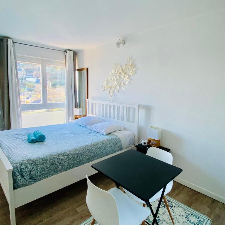 Les Studios de la Côte Roz - Vue Mer - Rivage - Appartamento - 3