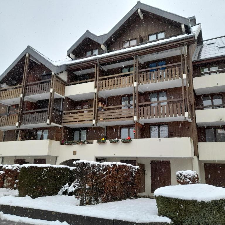 Samoëns studio - Studio Apartment - 3
