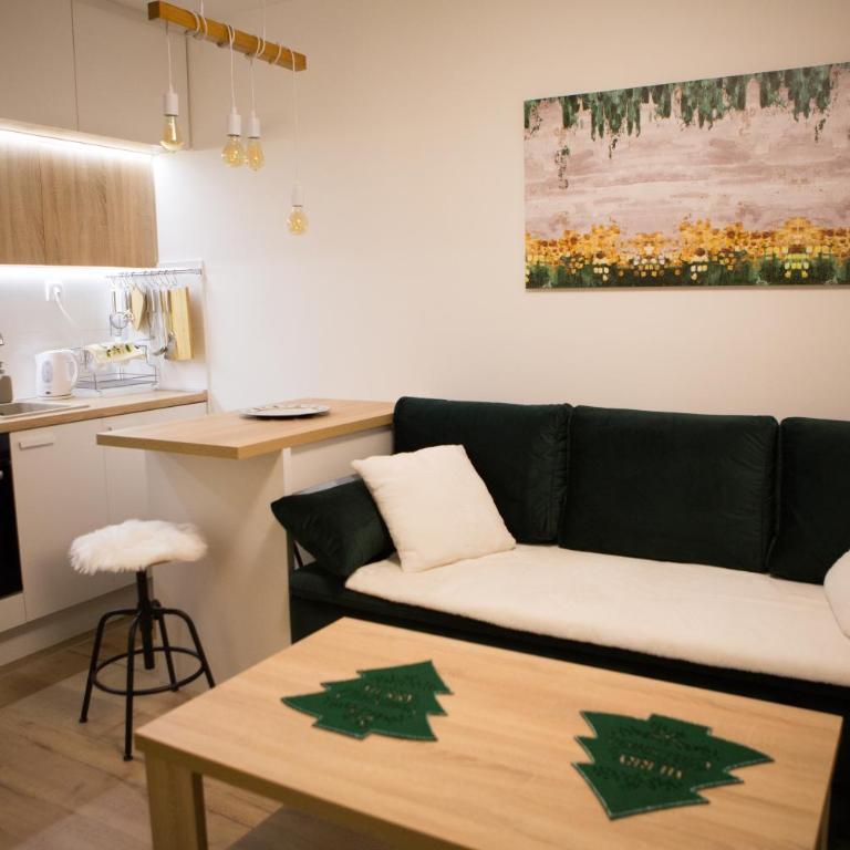 Acero Verde Jahorina - Studio - 15