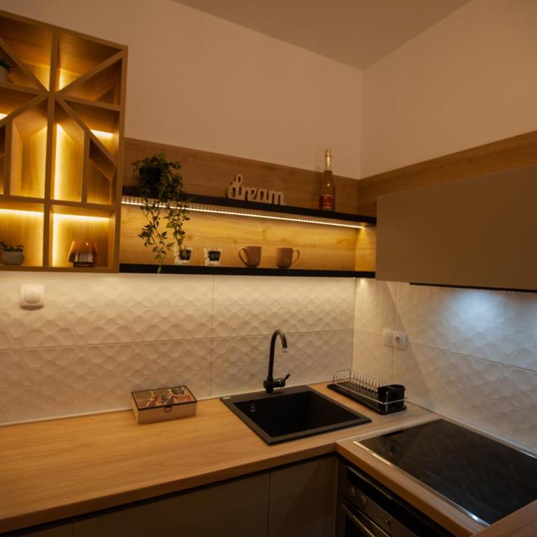 Apartman Iskra - Apartman sa 1 Spavaćom Sobom - 9