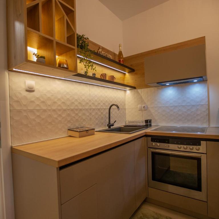 Apartman Iskra - Apartman sa 1 Spavaćom Sobom - 10