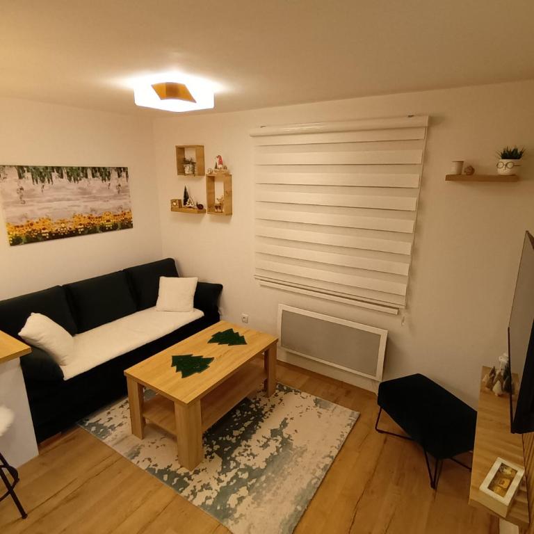 Acero Verde Jahorina - Studio - 14